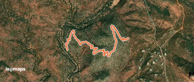 Anaconda
