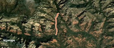 David Miller #164