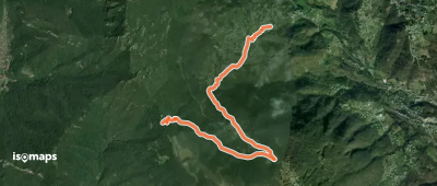 OSM Route 10736304