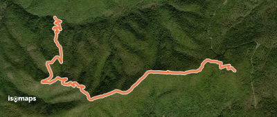 Neighbor Mountain Trail