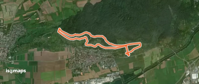 Hirschauer Spitzbergwegle