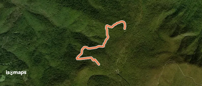 Weddlewood Trail