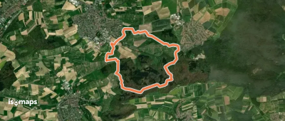 Wandern zwischen Wein, Wald und Streuobstwiesen