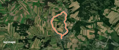Eichen und Eulen 30