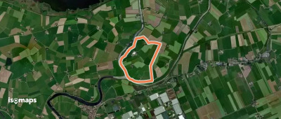 WNW IJsseldelta -Mandjeswaard - gele route