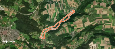 Altdorf 6a