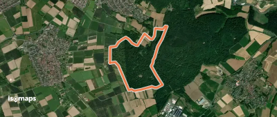 Spessartspuren - Niedermittlauer Berkopp Runde