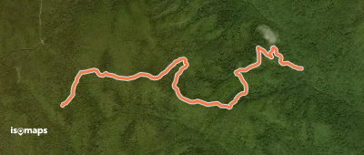 Corbin Mountain Trail
