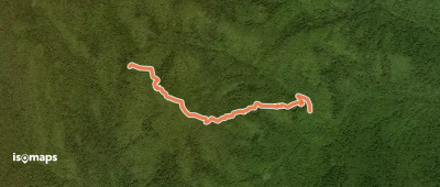Robertson Mountain Trail
