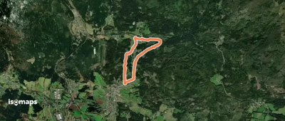 Bachstelze