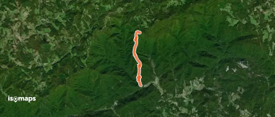 Cedar Ridge Trail