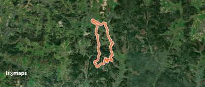 Rundwanderweg Wald-Michelbach 2: Wald-Michelbacher-Buch-Weg