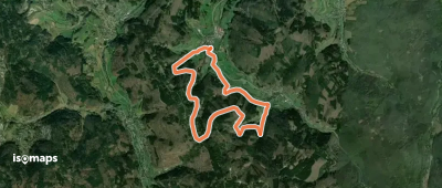 Rundwanderweg Heddesbach 3: Wolfsgruben-Weg