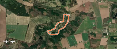 Gul rute