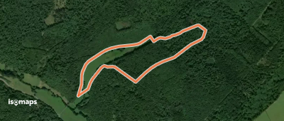 Walderlebnispfad "Palmbachtal"