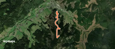 Kapf - Hirschwirts Wald