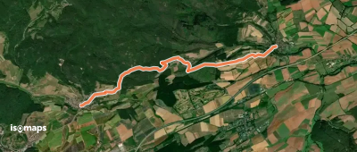 Pfälzerwald Weißes Dreieck #3