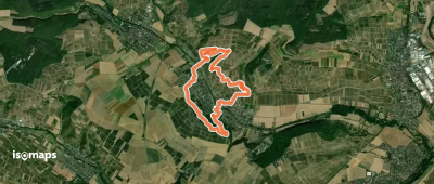 Guldentaler Krönchen