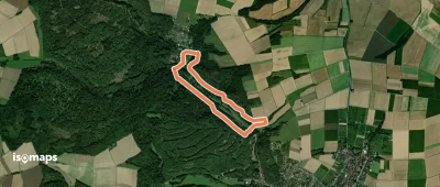 Wanderwege Wiesental - Libelle