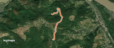Weißes Kreuz - Hl. Koloman