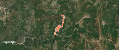 OSM Route 11134112