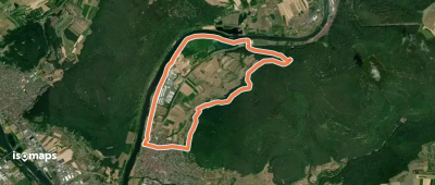 Rundwanderweg Bürgstadt Stutz 2: Maintal-Weg