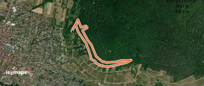 Waldlehrpfad Bürgstadt, PP Stutz