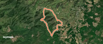 La strada del vino