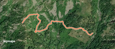 OSM Route 11174875