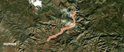 Sycamore Basin #63