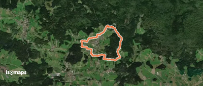 Haustaube