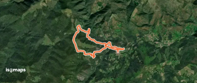 Aurkidiko itzulia