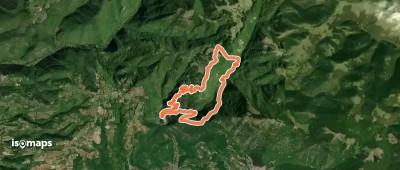 Rivodutri-Faggio di S.Francesco-Rivodutri