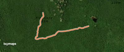Pine Cone Trail