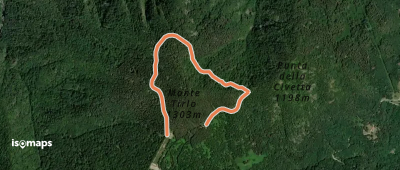 OSM Route 11264607