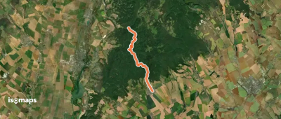 OSM Route 1208338