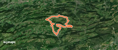 2. Solothurner Waldwanderung