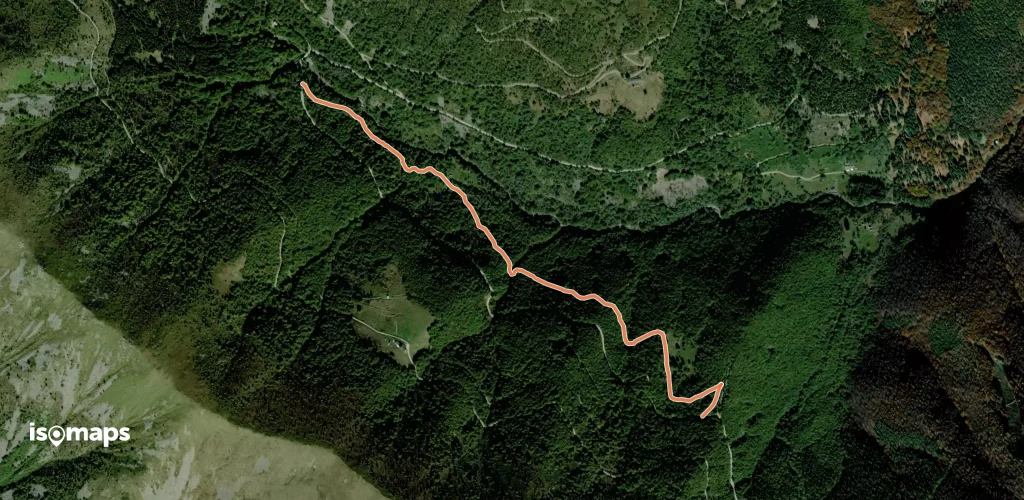 OSM Route 11267694