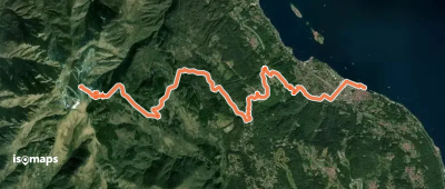 VL1 - Stresa - Mottarone