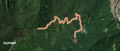 OSM Route 11294697