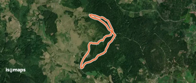 Sur la piste du chevreuil