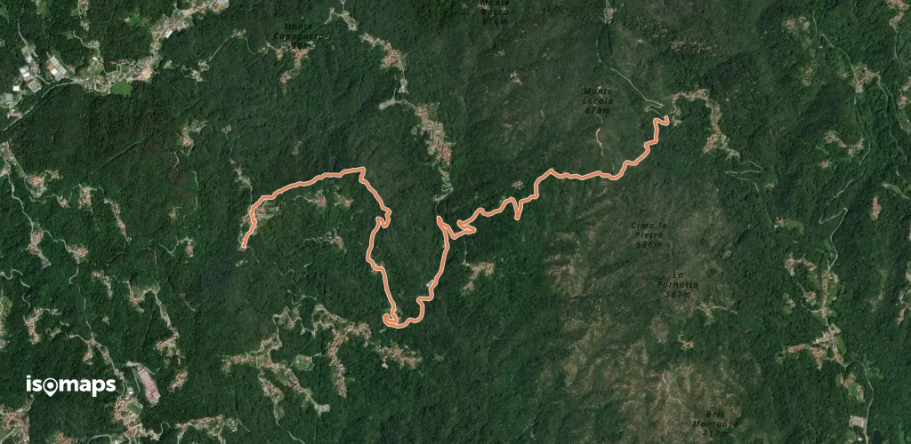 OSM Route 11317895