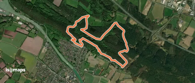 Teutoschleife Waldauenweg