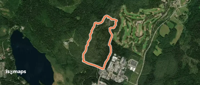 Pirunpesän metsärata