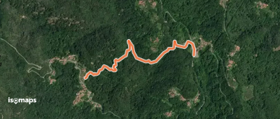 OSM Route 11383159