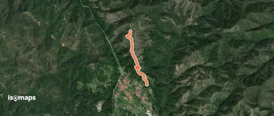 OSM Route 11383623