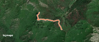 OSM Route 11484250