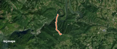 Раткова стаза