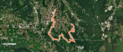 OSM Route 11489346