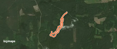 „Geltonasis“ pėsčiųjų takas